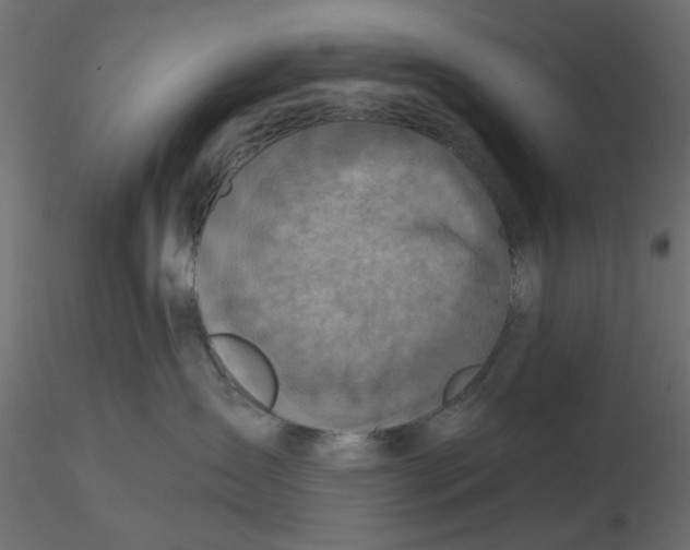 X0000116550431200912311915