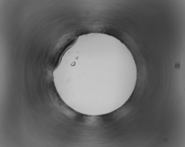 X0000116550432200912311915