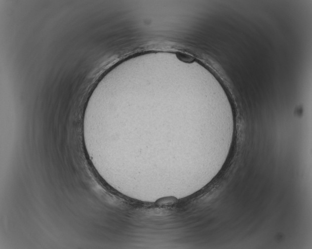 X0000116550433200912311915