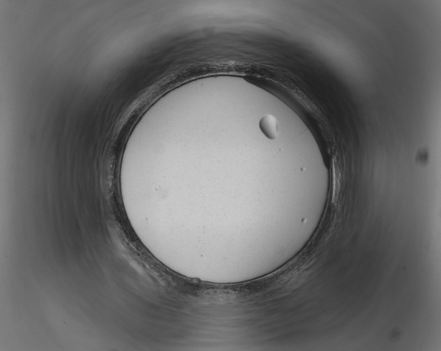 X0000116550435200912311915