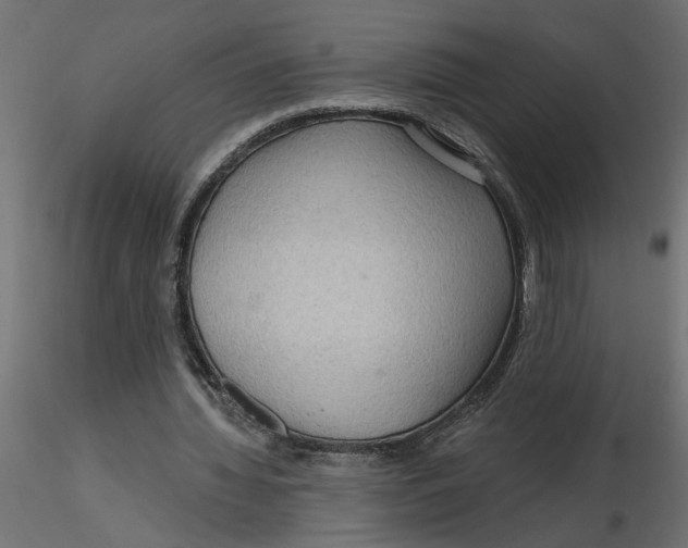 X0000116550436200912311915