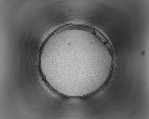 X0000116550437200912311915