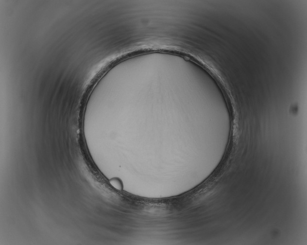 X0000116550438200912311915