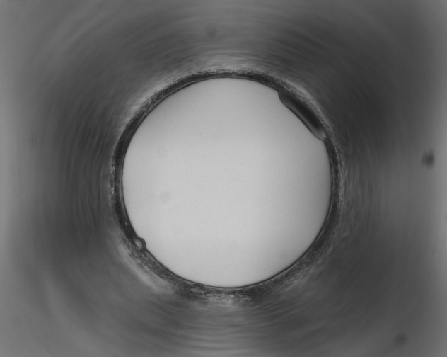 X0000116550439200912311915