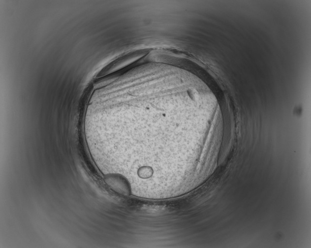 X0000116550440200912311915