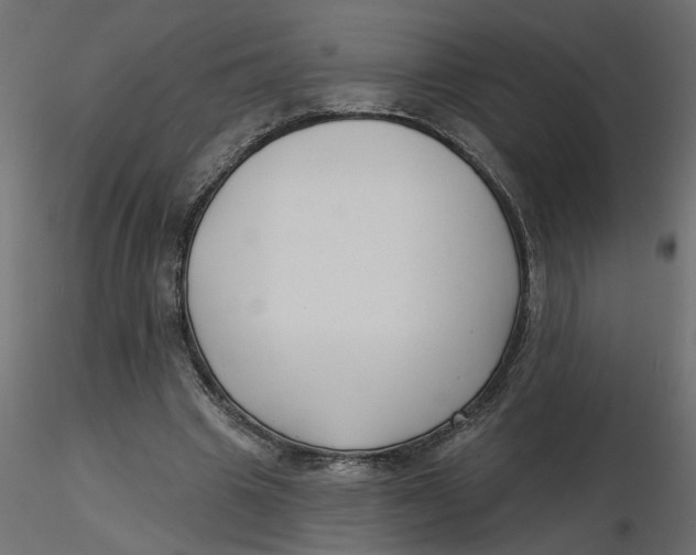 X0000116550441200912311915