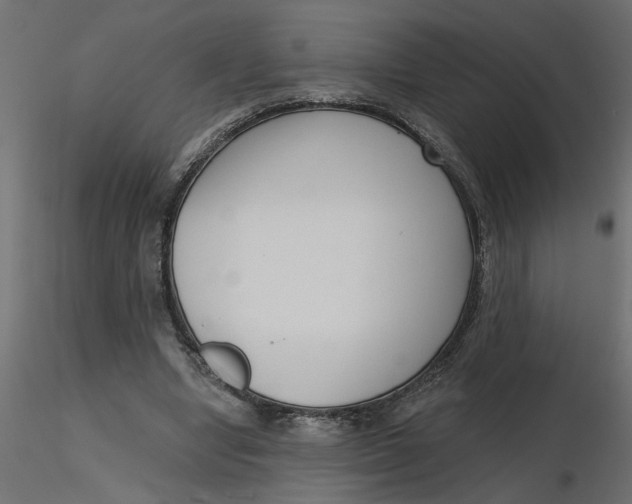 X0000116550442200912311915