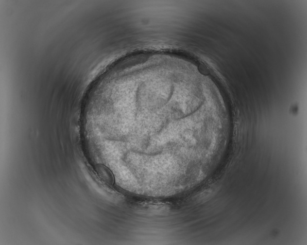 X0000116550443200912311915