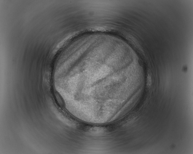 X0000116550444200912311915