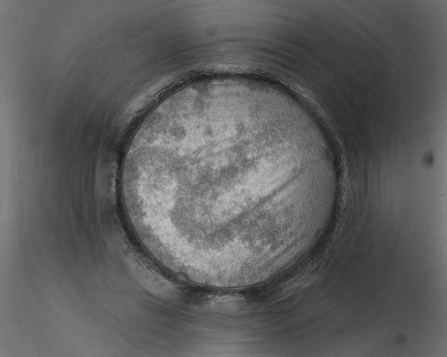 X0000116550446200912311915