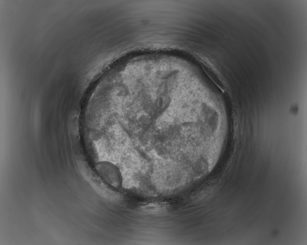 X0000116550447200912311915