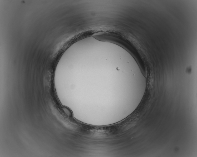 X0000116550448200912311915