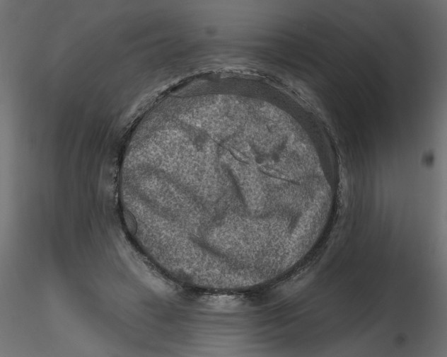 X0000116550449200912311915