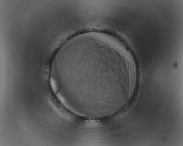 X0000116550451200912311915