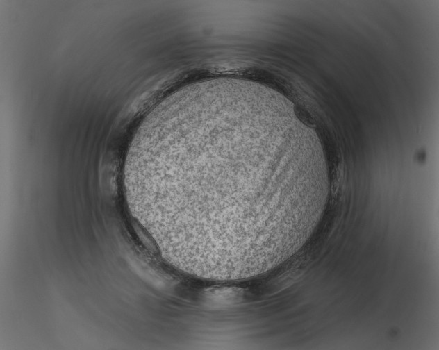 X0000116550452200912311915