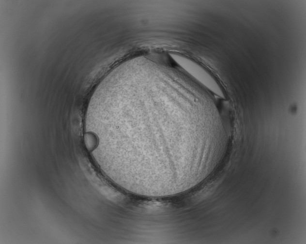 X0000116550453200912311915