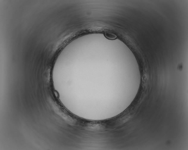 X0000116550454200912311915