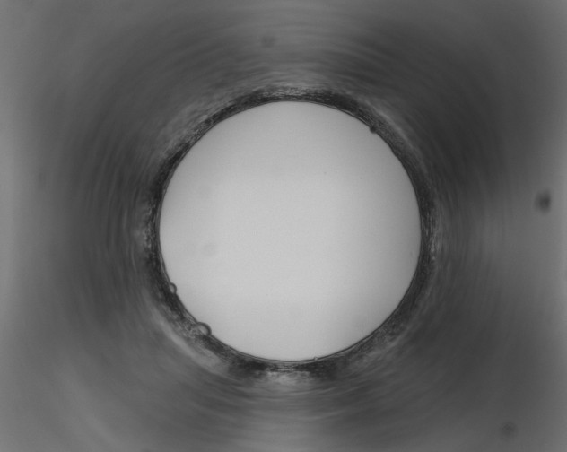 X0000116550455200912311915