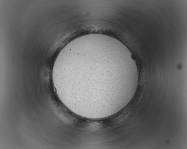 X0000116550456200912311915