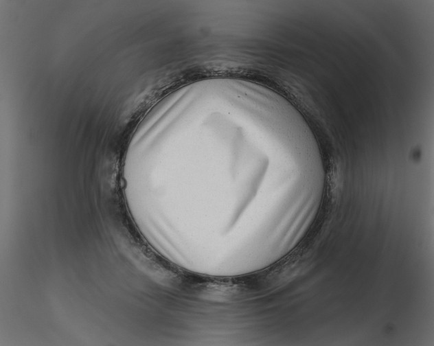 X0000116550458200912311915