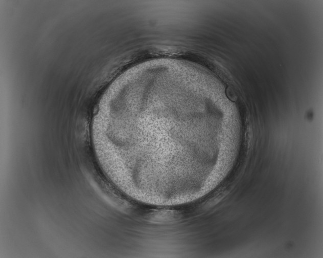 X0000116550459200912311915