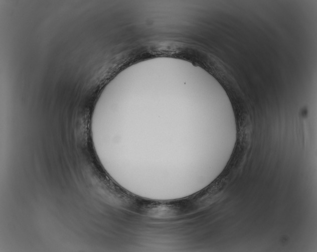 X0000116550460200912311915