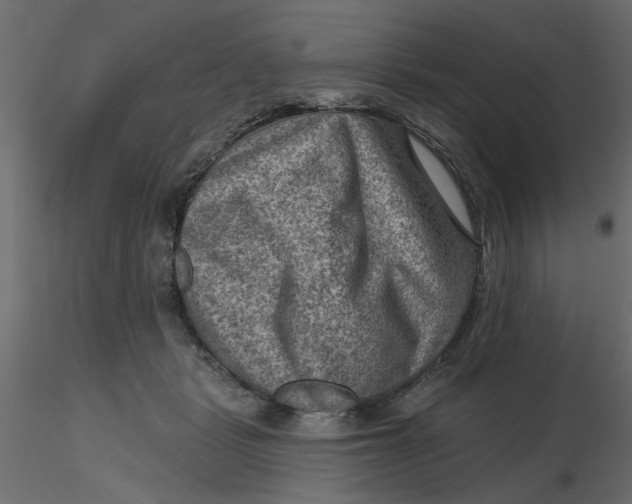 X0000116550461200912311915