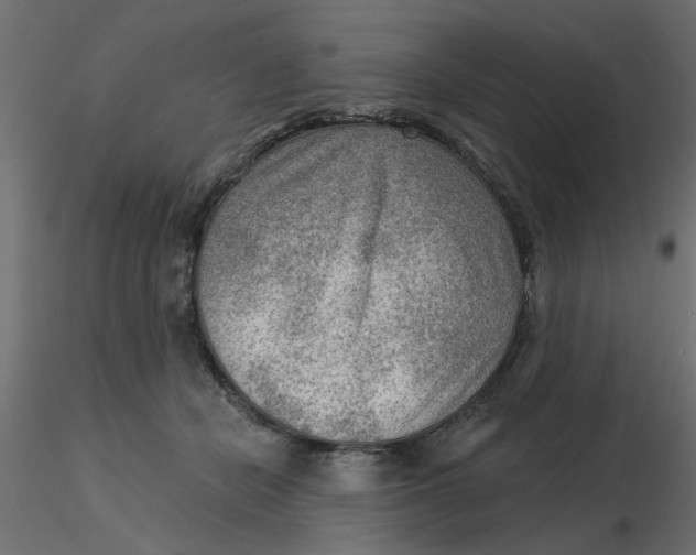 X0000116550462200912311915