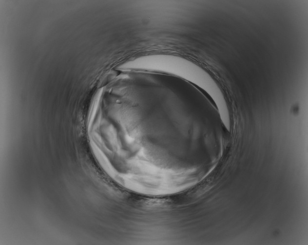 X0000116550465200912311915