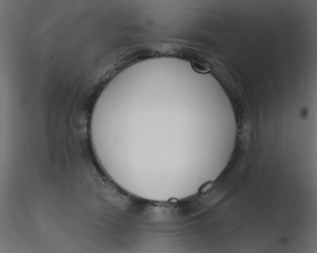 X0000116550466200912311915