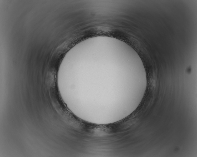 X0000116550468200912311915