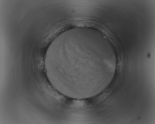 X0000116550469200912311915