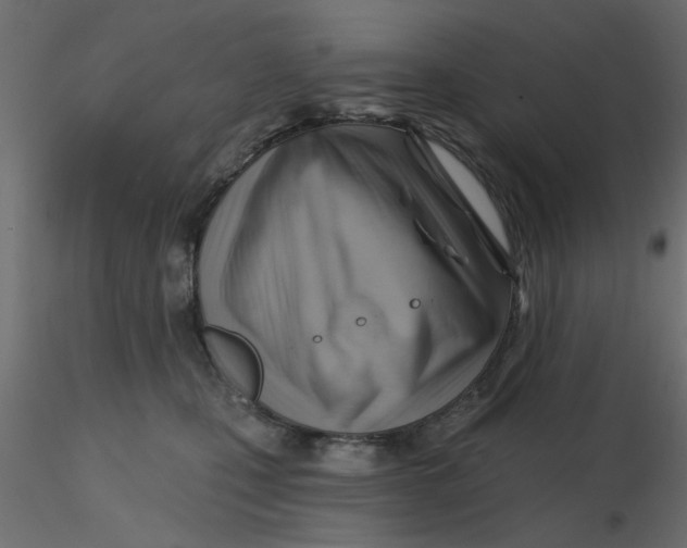 X0000116550471200912311915