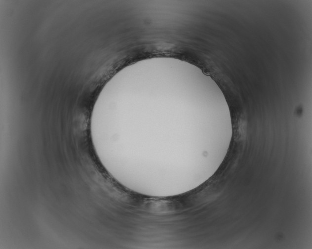 X0000116550472200912311915