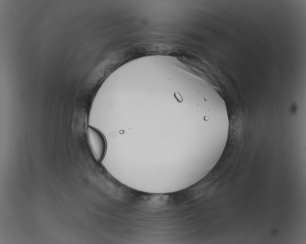 X0000116550474200912311915