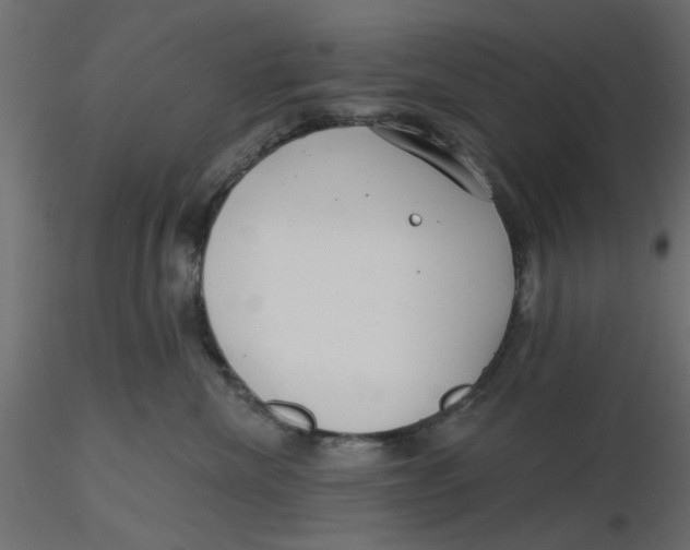 X0000116550476200912311915