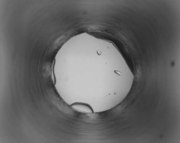 X0000116550478200912311915