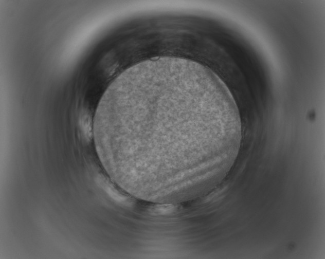 X0000116550479200912311915