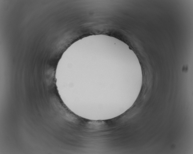 X0000116550480200912311915