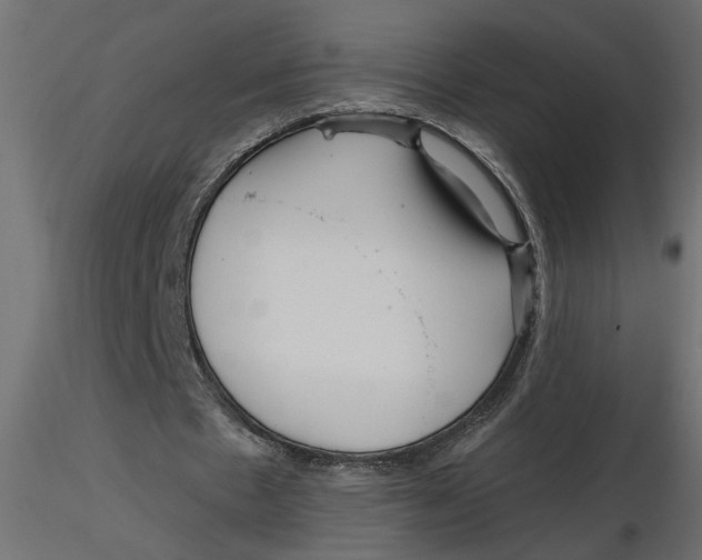 X0000116550481200912311915