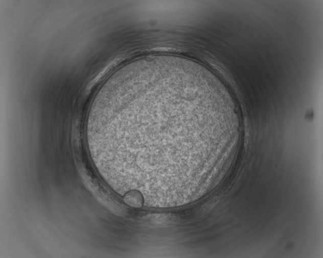 X0000116550482200912311915