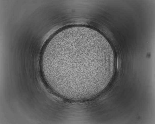 X0000116550483200912311915