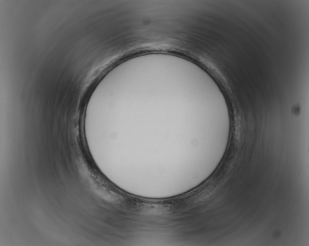 X0000116550486200912311915