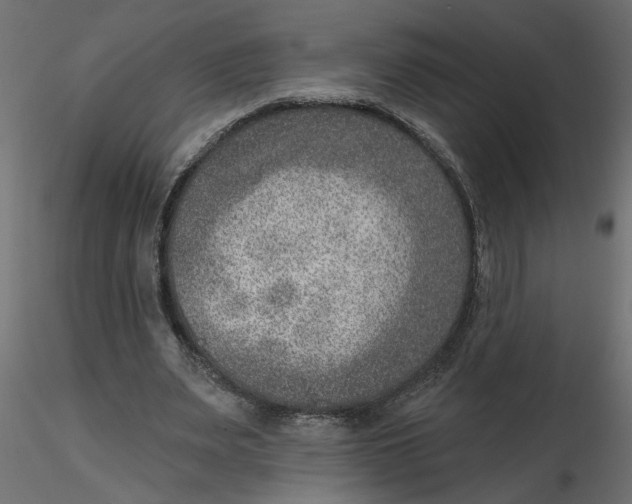 X0000116550487200912311915