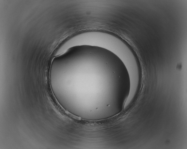 X0000116550489200912311915