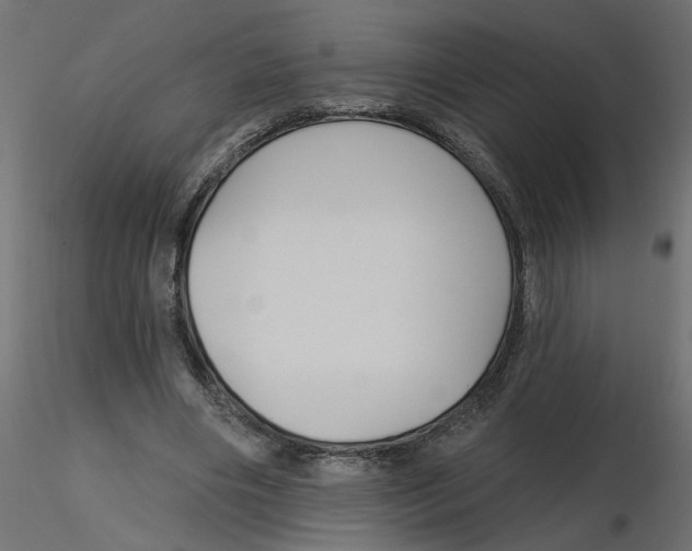 X0000116550490200912311915