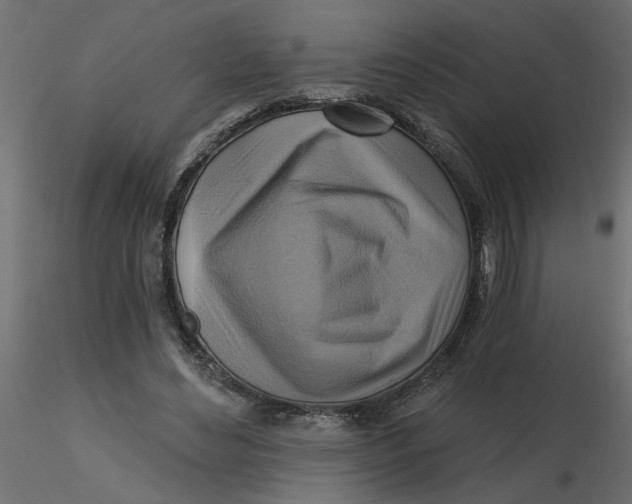 X0000116550492200912311914