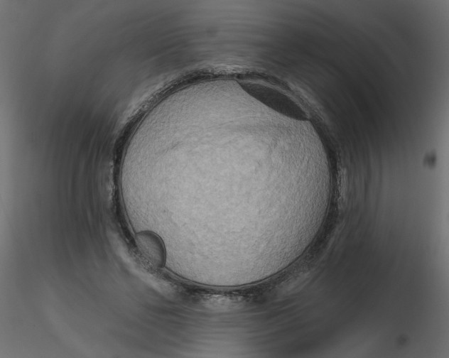 X0000116550494200912311914