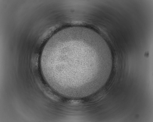 X0000116550495200912311914