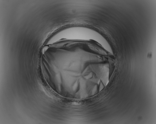 X0000116550496200912311914